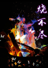 烧不尽的野火歌曲