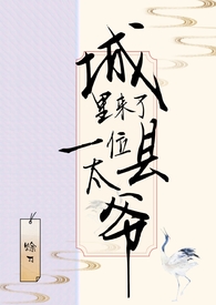 城里来了一位县太爷免费阅读笔趣阁